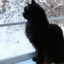 Reciko☃