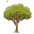 Treezon
