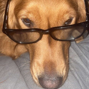 Scoobs