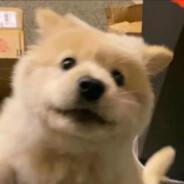 小涵