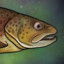 trout