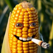 CornIsAFruit