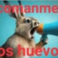 Robuni