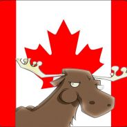 canada_moose