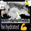MoistLizard