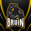 Bruin