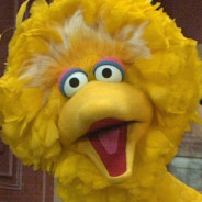 Big Bird