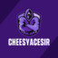 CheesyAcesir