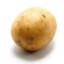 Potato