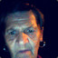 radek981