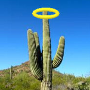 Angelic Cactus