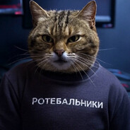 vOOlsi