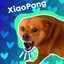 Xiaopang