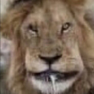 игорь залупенько