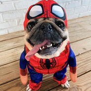 milik_bombarduje_skins.army