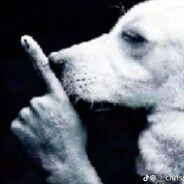 пивне яєчко @bandit