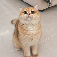 我还有事先吃饭了