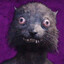 ŵaýzeR
