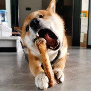 就特么你叫夏洛啊？