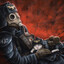 Rook