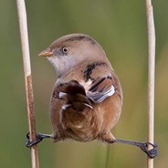 我开挂，你随意
