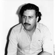 koparka pesosskins.army