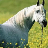 那我懂你意思了