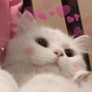 ('~')'s Steam Avatar