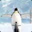 life is penguin