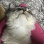 조휘