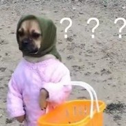 您完全不怕我的吗