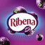 ＲＩＢＥＮＡ 리 비 나