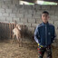 Lobo-