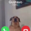 Gustavo