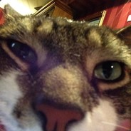 ChrisCheezer - steam id 76561197964438385