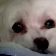 .. - steam id 76561197960692707