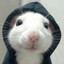 gluppledip's avatar