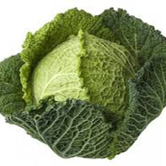 cabbage