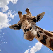 Ey - steam id 76561199869056899