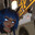 Shrimpy avatar
