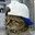 TheFancyCat :)