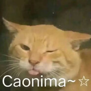 直肠倒膜拌饭炫8碗