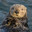 Otter