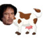 Moo Mar Gaddafi