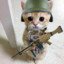 habussek | skins.army