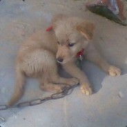Absolute illusion Steam avatar