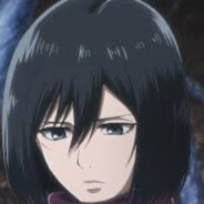 Mikasa_Ackerman - steam id 76561198967058405