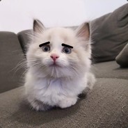 冷酷无情的小猪