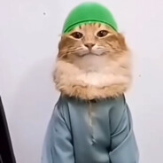 Маэстро 52 ngg avatar
