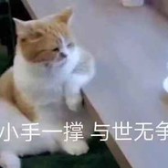 老八秘制小汉堡